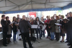 2012-stanari